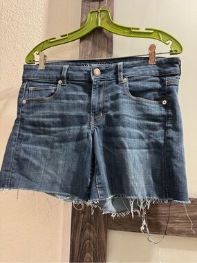 American Eagle Outfitters Dark Blue Denim Jean Shorts